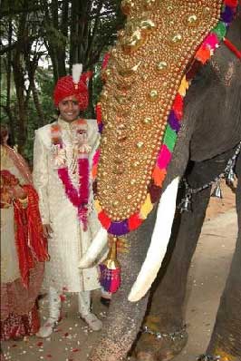 Manoj Bohra Wedding pictures - | 530855 | Kasauti Zindagi Ki Forum