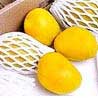Premium Alphonso Mangoes